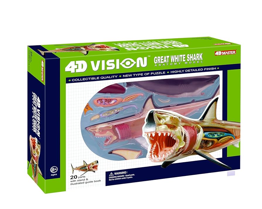 Amazon | 4Dビジョン 立体パズル サメ 解剖モデル 並行輸入品